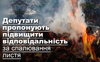 Депутати пропонують підвищити відповідальність за спалювання листя