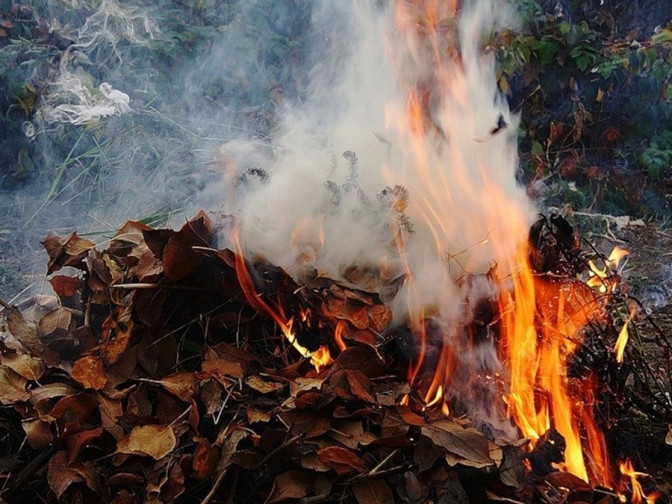Депутати пропонують підвищити відповідальність за спалювання листя