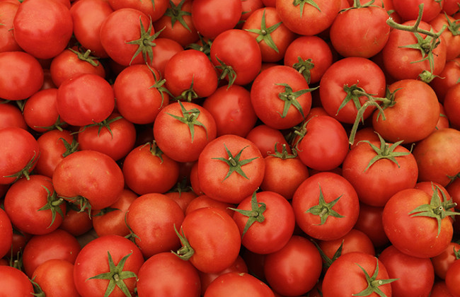 Небезпечний вантаж з Туреччини: в Україну не пустили партію заражених помідорів