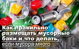 Как правильно размещать мусорные баки и что делать, если мусора много