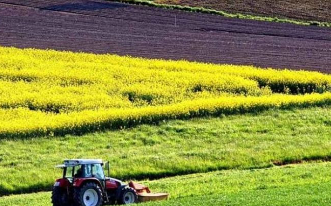 Оскарження рішення щодо оренди землі: Велика Палата ВС визначила юрисдикцію спорів