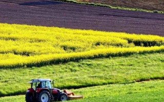 Оскарження рішення щодо оренди землі: Велика Палата ВС визначила юрисдикцію спорів