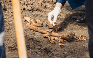 Жуткая находка: в Днепре возле университета обнаружили человеческие останки