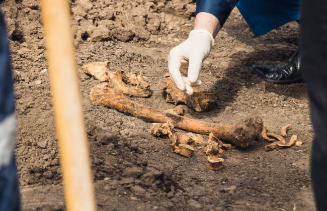 Жуткая находка: в Днепре возле университета обнаружили человеческие останки