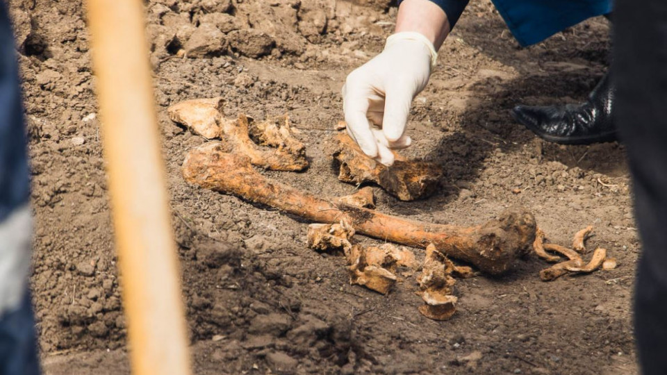 Жуткая находка: в Днепре возле университета обнаружили человеческие останки