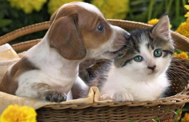 Киевлянам введут новый коммунальный тариф: что следует знать