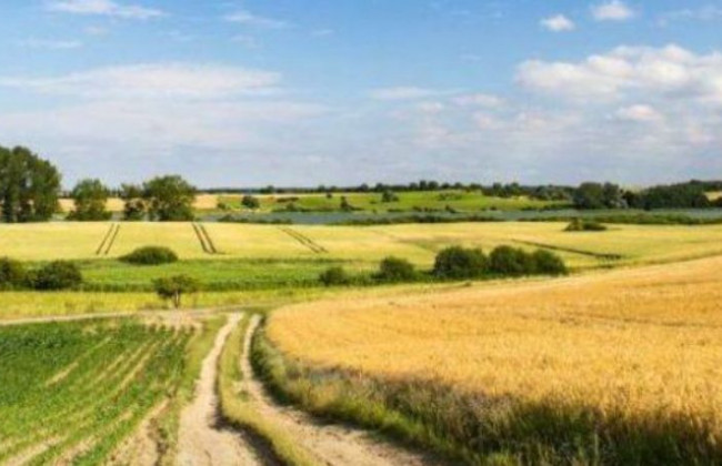 Визнання за орендарем переважного права на продовження договору не є абсолютним: постанова КЦС ВС