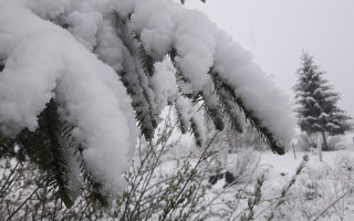 Снігопад у Карпатах: у мережі показали вражаючі фото і відео