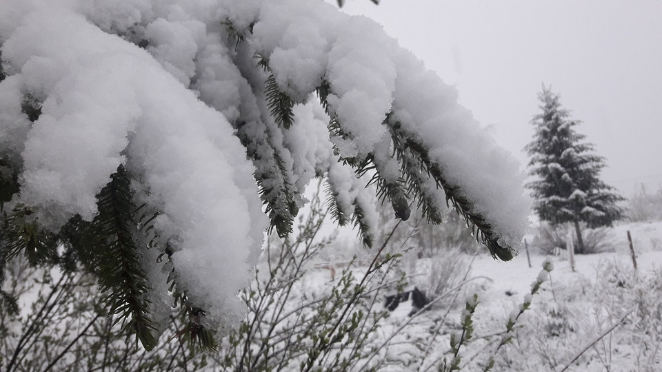 Снігопад у Карпатах: у мережі показали вражаючі фото і відео