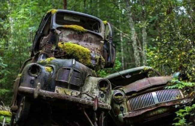 В Киеве появится кладбище для авто: что нужно знать