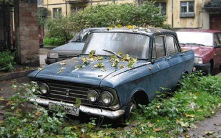 Киянам на замітку: з покинутими на вулицях Києва автівками будуть боротися по-новому