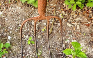 С вилами напал на сотрудницу прокуратуры: под Киевом задержали злоумышленника