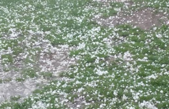 Град размером с яблоко и торнадо: под Житомиром случилась погодная аномалия