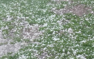 Град размером с яблоко и торнадо: под Житомиром случилась погодная аномалия