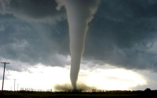 Мощный смерч уничтожил лес в Житомирской области: впечатляющее видео