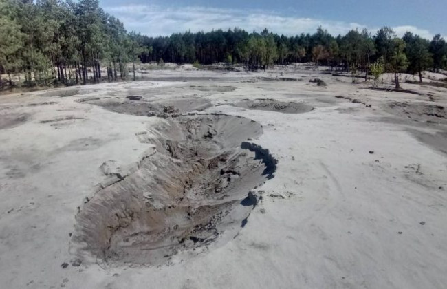 В сети показали последствия незаконной добычи янтаря: впечатляющее видео