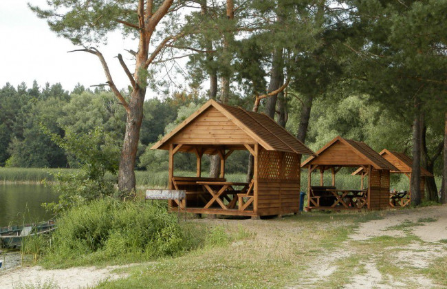 «Пікнікова» мапа: де в Києві можна без штрафів посмажити шашлик