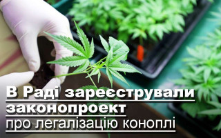 В Раді зареєстрували законопроект про легалізацію коноплі
