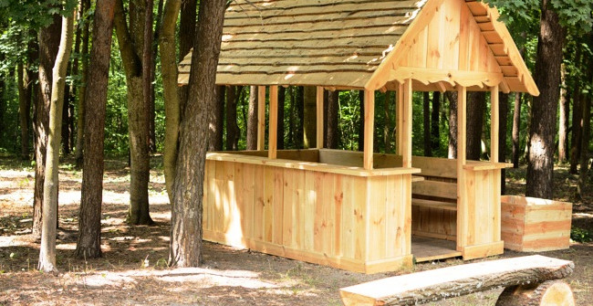 Киянам відкрили 40 безкоштовних зон для пікніків: адреси