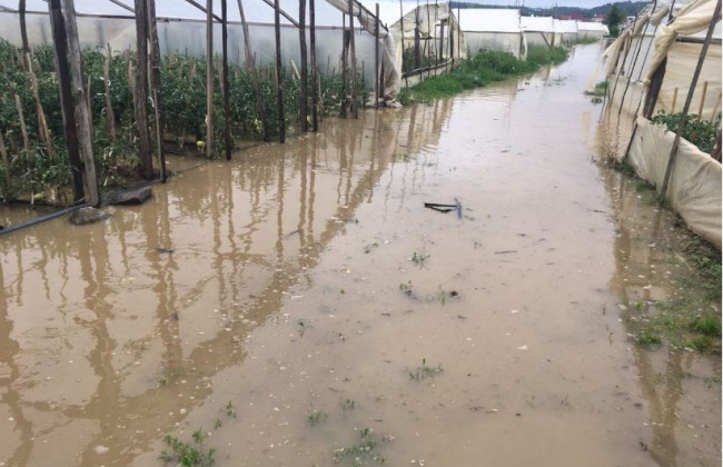 Руйнуються мости та укріплення: стало відомо про наслідки негоди на Закарпатті