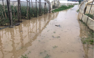 Руйнуються мости та укріплення: стало відомо про наслідки негоди на Закарпатті