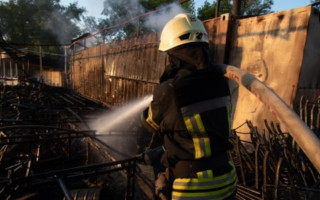 Масштабный пожар в столичном парке: первые подробности