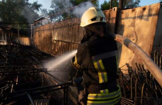Масштабный пожар в столичном парке: первые подробности