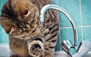 Киевлянам на три дня отключат водоснабжение: адреса и график