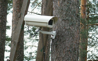 В лесах Киева установили камеры видеонаблюдения