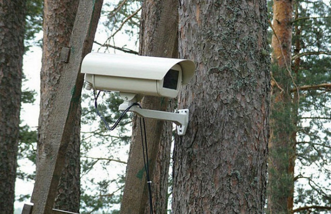 В лесах Киева установили камеры видеонаблюдения
