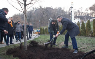 В Киеве массово воруют деревья: есть подробности