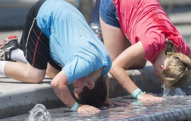 Названа неожиданная польза жары