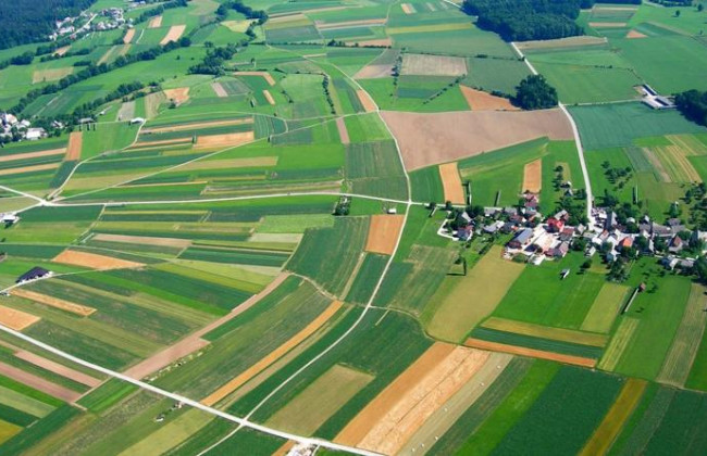 Верховний Суд роз’яснив, як витребовувати землю з чужого володіння