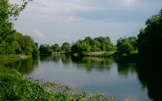 Под Винницей произошла экологическая катастрофа: первые подробности