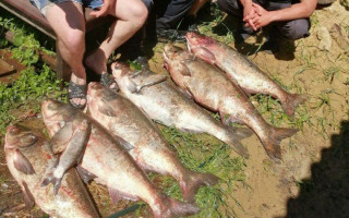 На поля та городи виносить рибу: Одесу «струсонула» потужна повінь