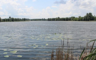 Выброс химикатов в Рось: назвали первые результаты