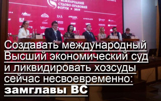 Создавать международный Высший экономический суд и ликвидировать хозсуды сейчас несвоевременно: замглавы ВС