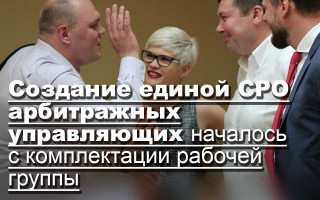 Создание единой СРО арбитражных управляющих началось с комплектации рабочей группы