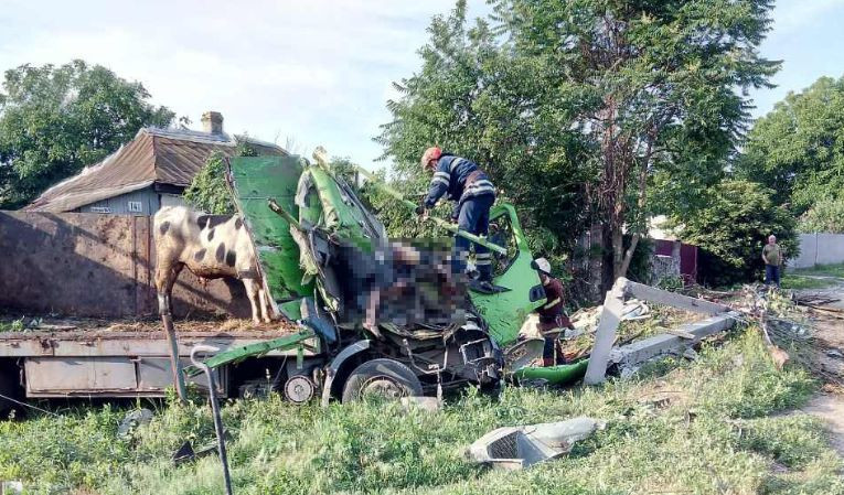 ДТП с грузовиком под Киевом: погибли два человека