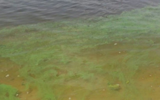 Масований злив забрудненої води в притоку Дніпра зафіксували кияни, є відео