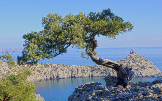 Оккупированному Крыму грозит новая экологическая катастрофа