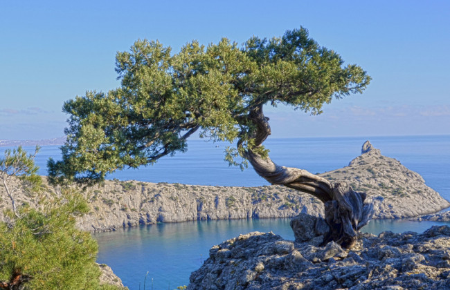 Оккупированному Крыму грозит новая экологическая катастрофа