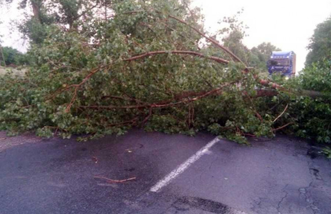 Потужний буревій пронісся Чернігівщиною