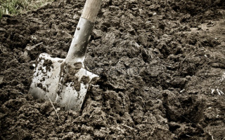 Холоднокровно вбив і закопав: на Рівненщині сталося моторошне вбивство