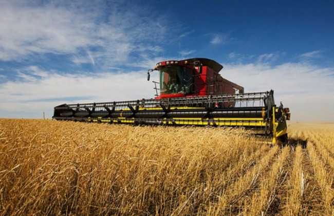 ЧП под Запорожьем: на поле «утонул» комбайн