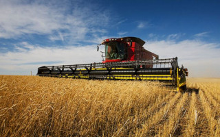 ЧП под Запорожьем: на поле «утонул» комбайн