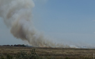 Масштабна пожежа сталася на курорті під Одесою: є подробиці