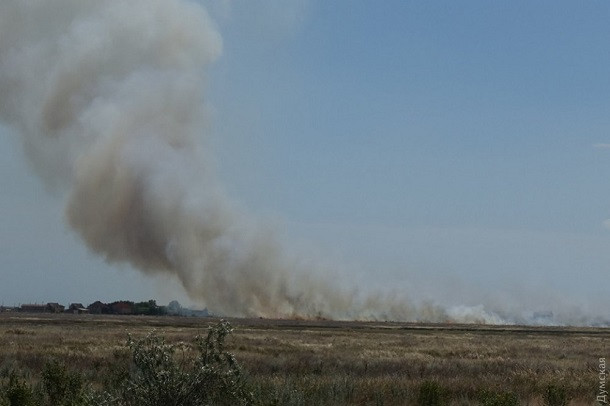 Масштабна пожежа сталася на курорті під Одесою: є подробиці