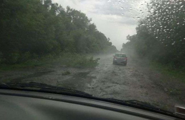 Потужна злива на Буковині:  у мережі показали наслідки