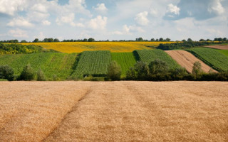 У справі начальника управління Держгеокадастру з Київщини є подробиці